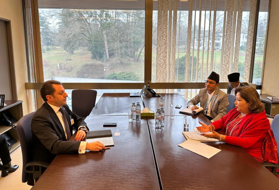 El Viceministro de Asuntos Exteriores de Azerbaiyán celebró una serie de reuniones en Ginebra, discutió las posibilidades de cooperación