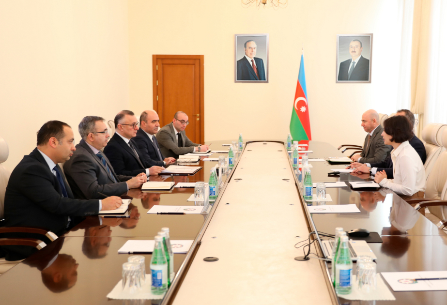 Leading Swiss pharmaceutical corporation keen on cooperation with Azerbaijan