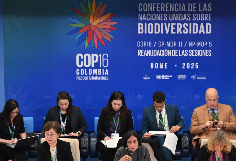 COP16 in Rom: UNO-Naturkonferenz einigt sich auf Finanzierungsplan für Artenschutz