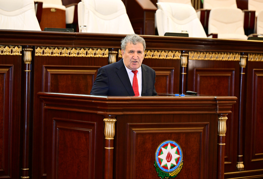 İsa Həbibbəyli: Fövqəladə halların baş verməsi və bununla mübarizə 21-ci əsrin qlobal probleminə çevrilib