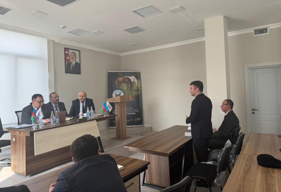 Lənkəranda kartof və çiyələk ixracı ilə bağlı sahibkarların təklifləri dinlənilib