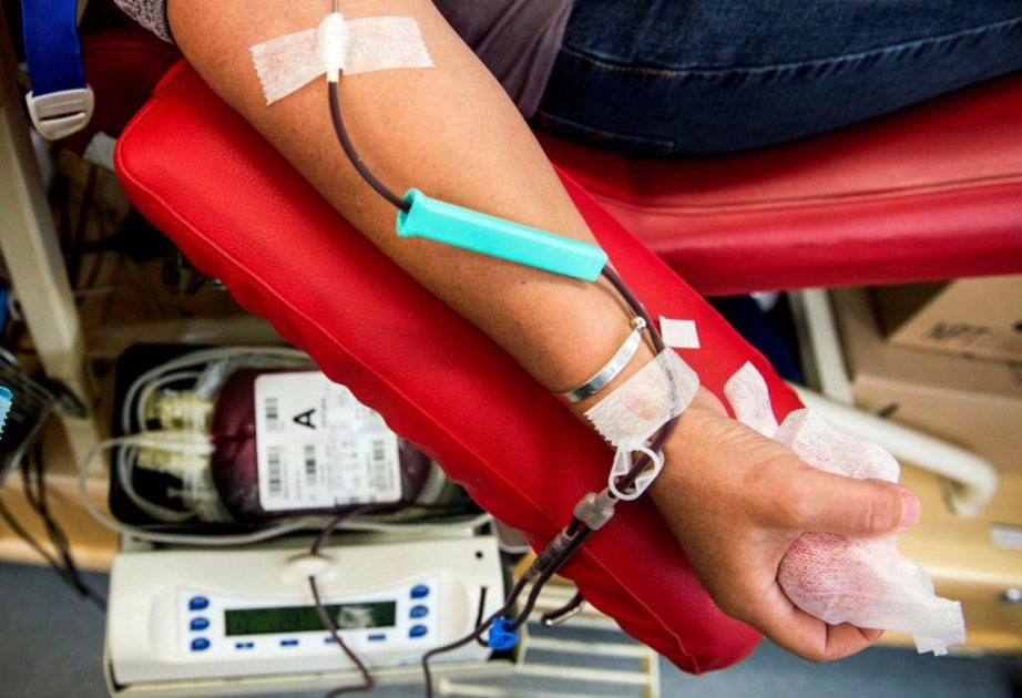 Швеция внедряет новый тест для повышения безопасности донорской крови