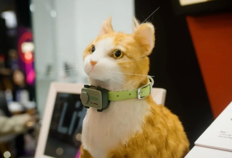 World’s first 'smartphone for pets' launched at MWC 2025
