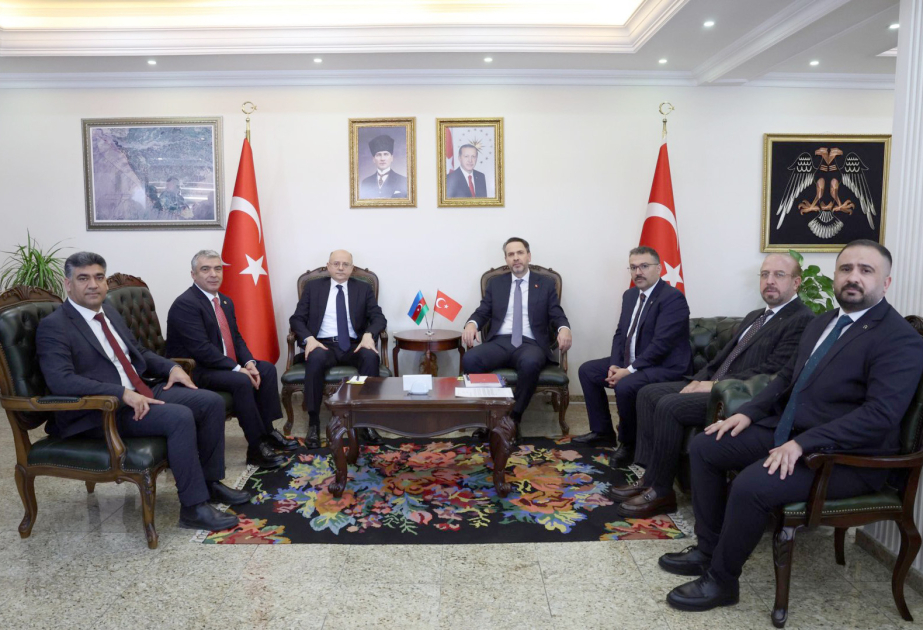 Rencontres des ministres azerbaïdjanais et turc de l’Energie à Igdir