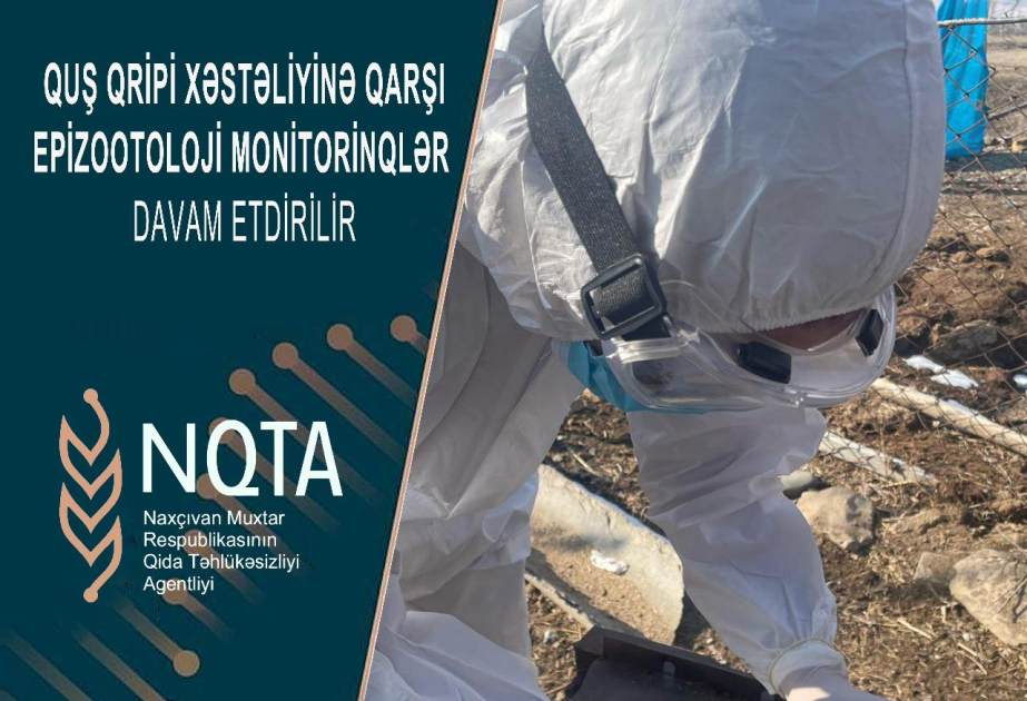 Naxçıvanda quş qripi ilə bağlı epizootoloji monitorinqlər keçirilib