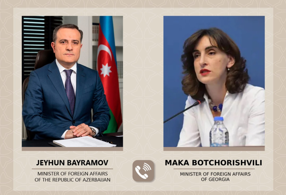 Главы МИД Азербайджана и Грузии обсудили региональные вопросы