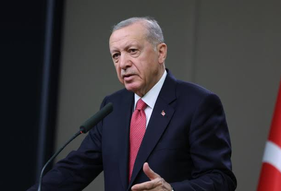 Joint European security planning with Türkiye would benefit both sides: President Erdogan
