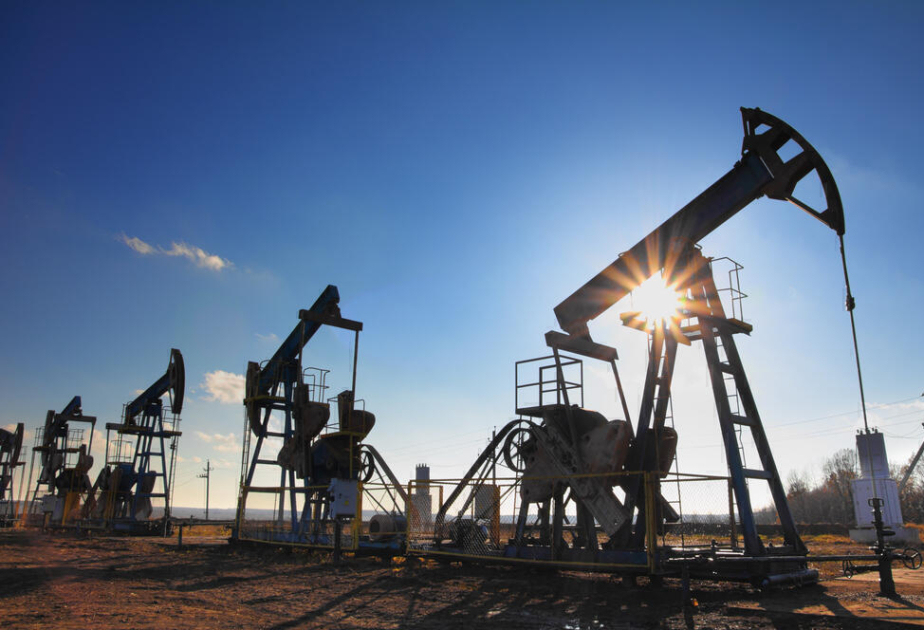 Kazakhstan to adjust oil production to fulfil OPEC+ obligations
