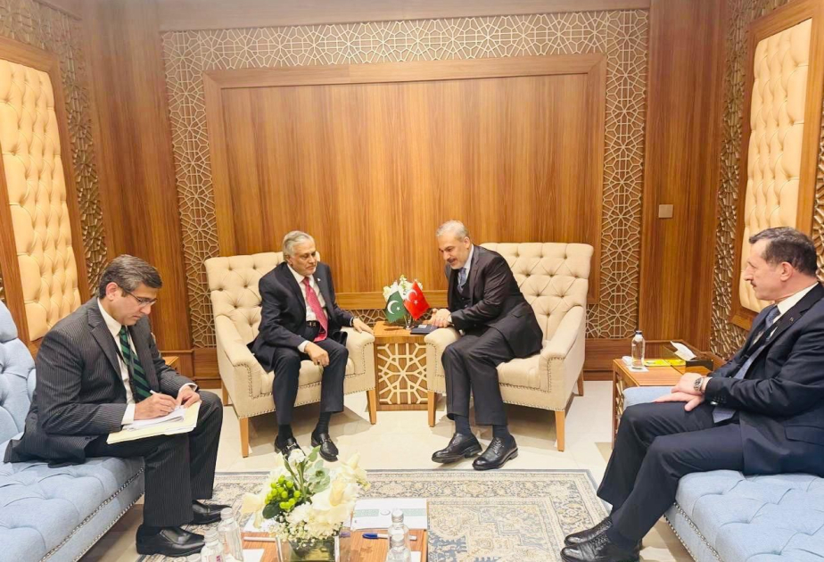 Pakistani Deputy PM meets with Turkish Foreign Minister in Jeddah