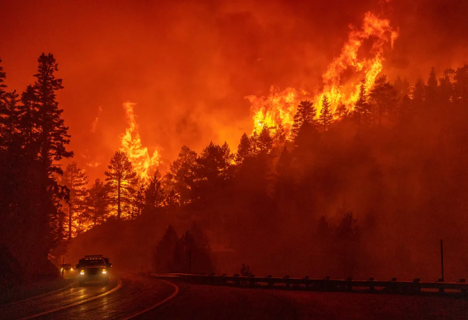 Over 71,000 hectares of land destroyed in wildfires in Mongolia so far this year