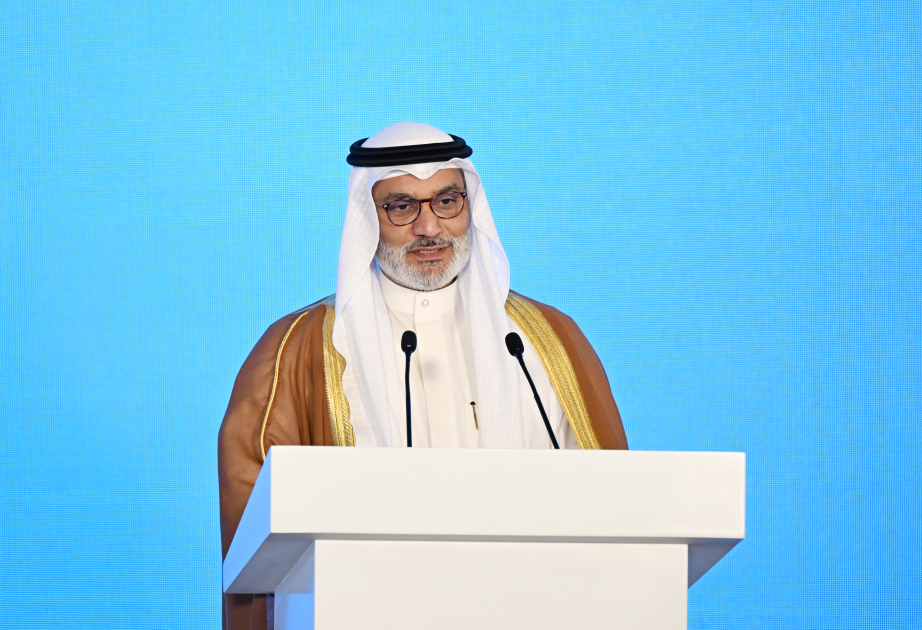 欧佩克秘书长：阿塞拜疆已成为能源问题建设性对话的全球中心