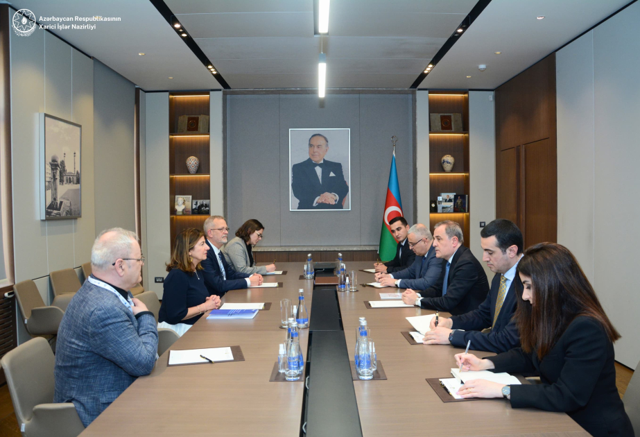 FM Bayramov: It is crucial to mobilize international efforts in addressing issue of missing persons