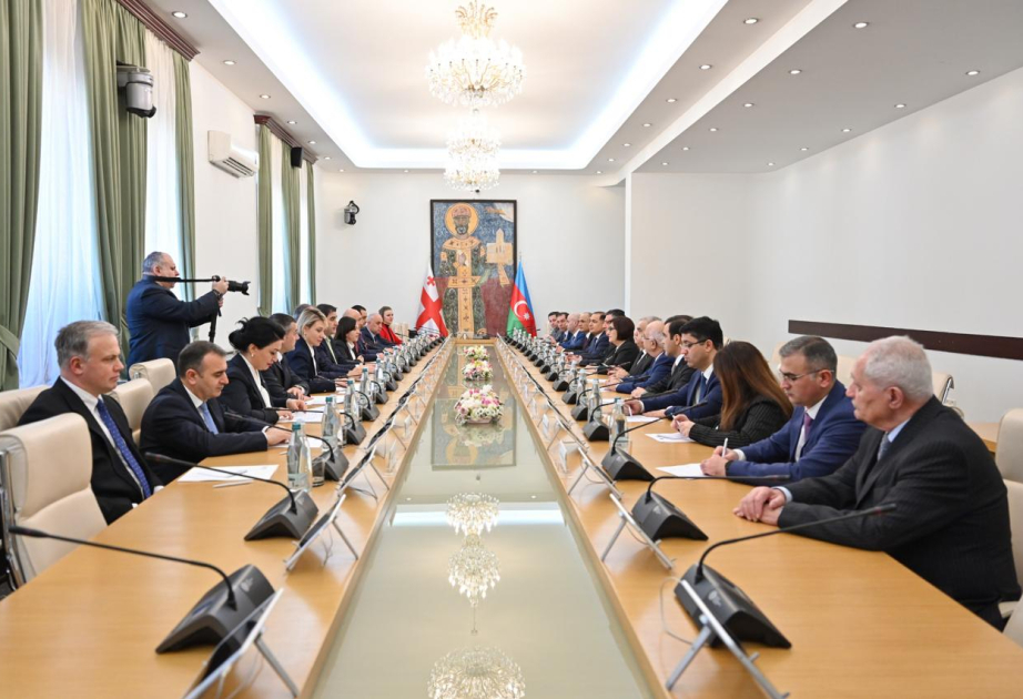 La présidente du Milli Medjlis azerbaïdjanais rencontre son homologue géorgien à Tbilissi
