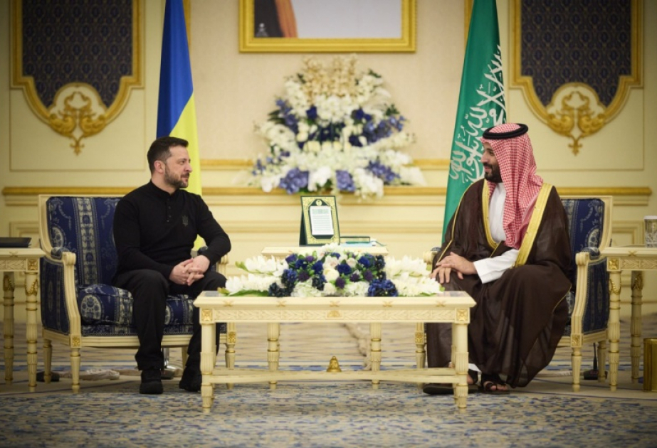 Saudi Crown Prince receives Ukrainian President, holds official talks