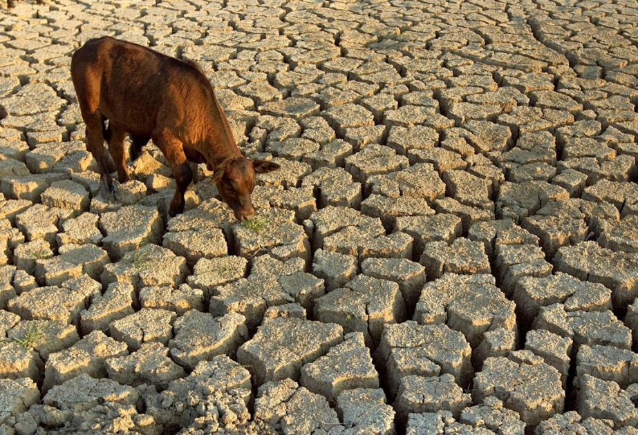 Des pays consacrent plus d’argent à rembourser leur dette qu’à lutter contre le changement climatique