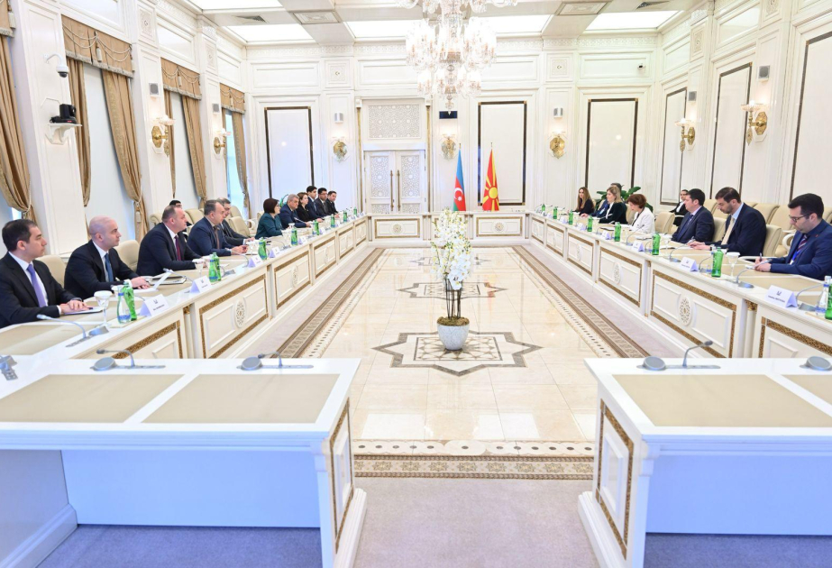 Milli Məclisin sədri Sahibə Qafarova Şimali Makedoniya Prezidenti Qordana Silyanovska-Davkova ilə görüşüb
