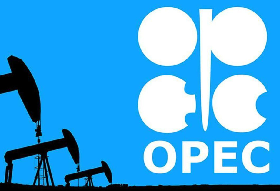 OPEC+ Agreement: Kazakhstan's Energy Ministry issues statement regarding overproduction