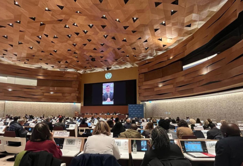 Azerbaijan joins GANHRI 2025 Annual Meeting