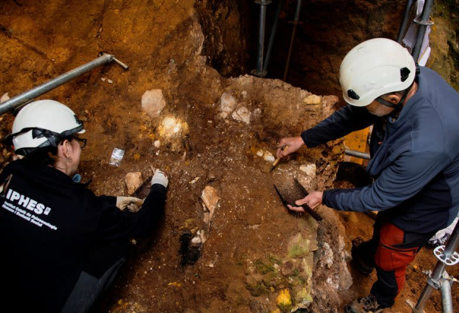 Human ancestors arrived in Western Europe much earlier than previously thought, fossil face fragments reveal
