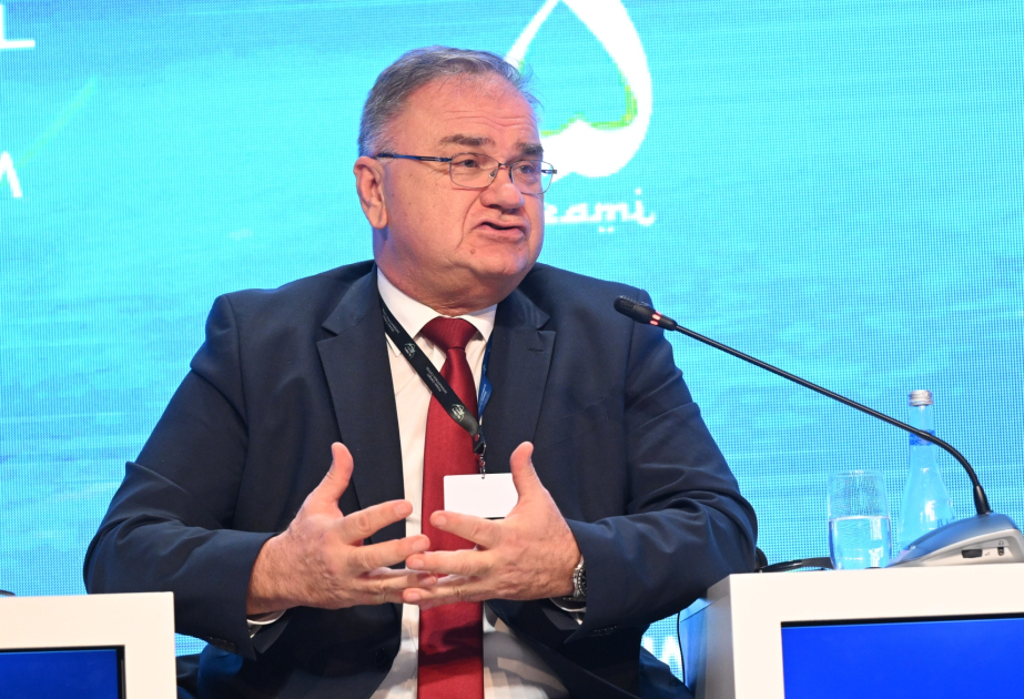 Mladen İvaniç: Orta və kiçik güclər ümumi nöqtədən çıxış etsələr, nəticə ala bilərlər
