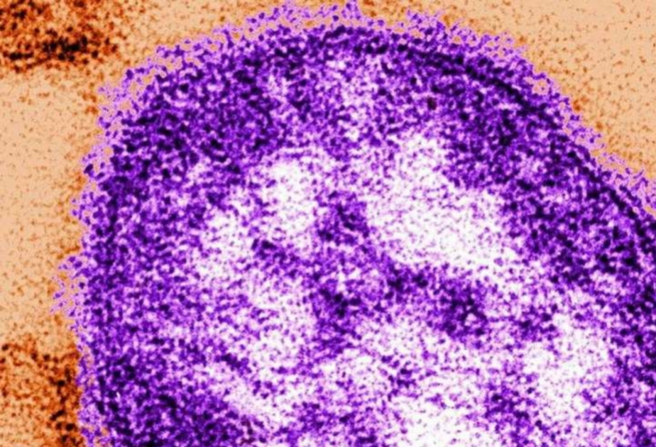 Le nombre de cas de rougeole en Europe a doublé en un an