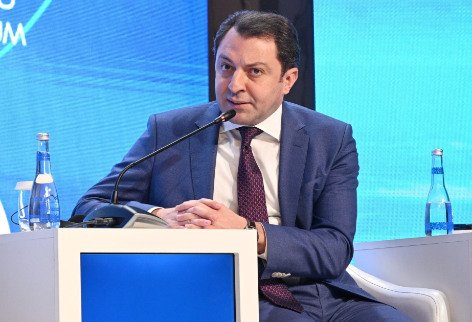 Viceministro de los Asuntos Exteriores: “Azerbaiyán demuestra las iniciativas diplomáticas activas”
