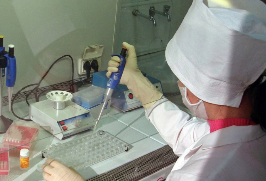 FAO warns of ‘unprecedented’ avian flu spread, in call for global action