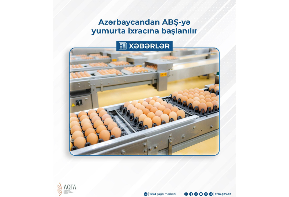 Azərbaycandan ABŞ-a yumurta ixracına başlanılır