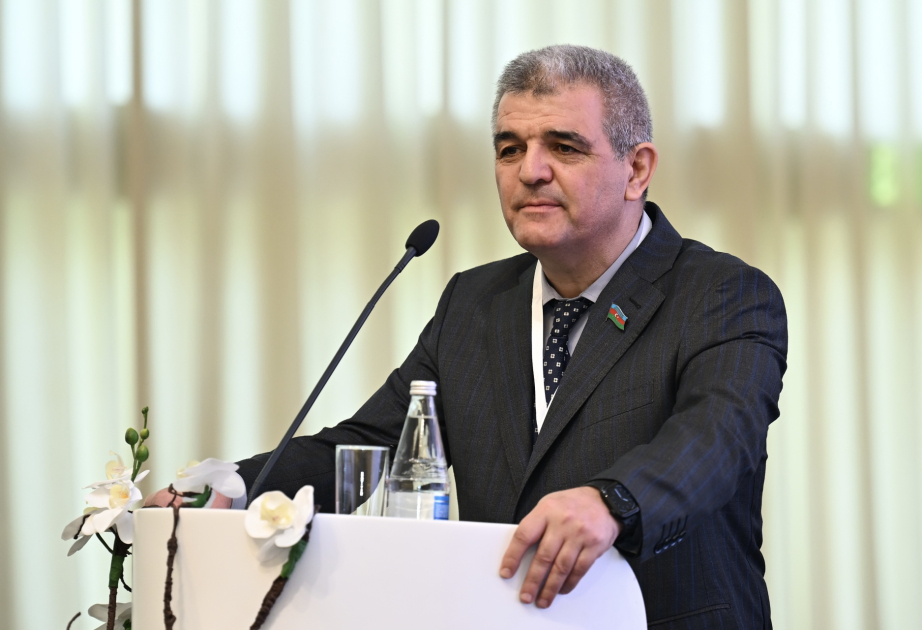 Deputat: Türklərlə ortaq gələcəyimizi yaratmaq üçün çalışmalıyıq