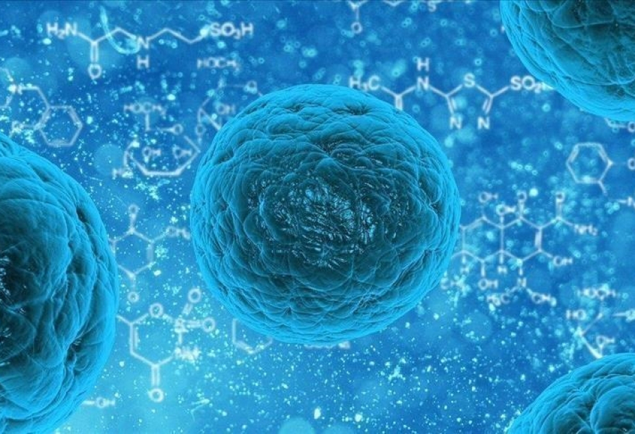 Chinese scientists develop cancer treatment that makes tumors mimic ‘pork’