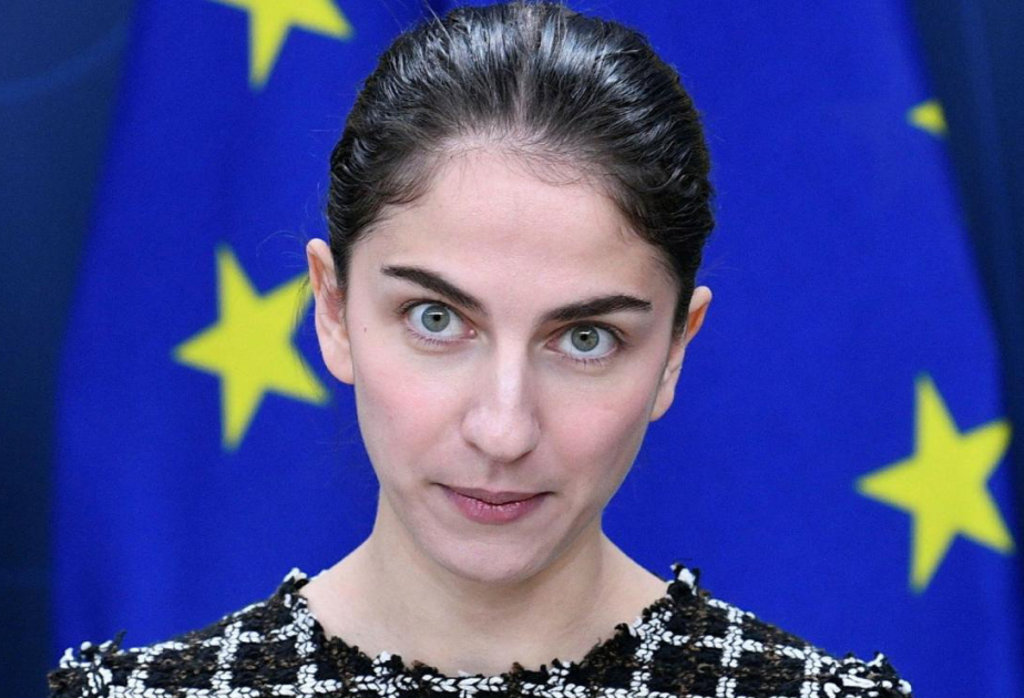 Министр климата Швеции отказалась участвовать в заседании Климатического политического совета
