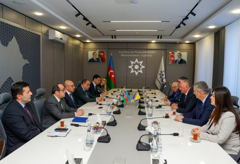 Se celebra una reunión entre ANAMA y la delegación de Bosnia y Herzegovina