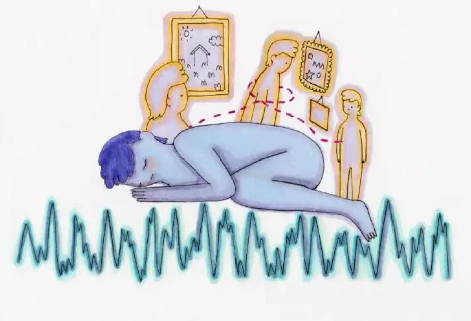 Sleep supports people's ability to remember sequences of real-world experiences, immersive art tour experiment shows