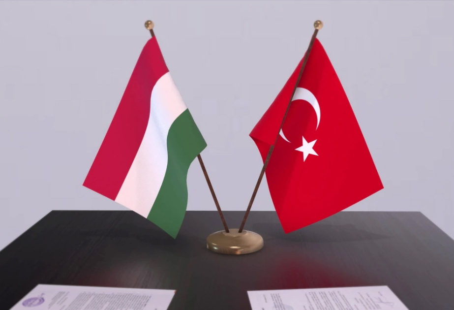 'Türkiye is a very important partner of ours': Hungarian foreign minister