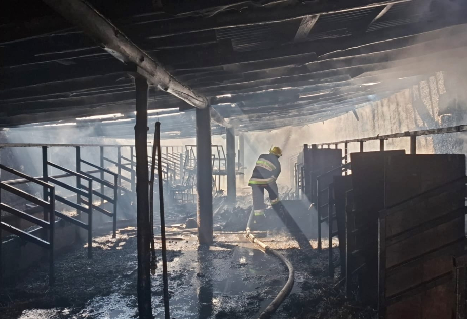 Şərurda fermada, Kəngərlidə yaşayış evində yanğın olub