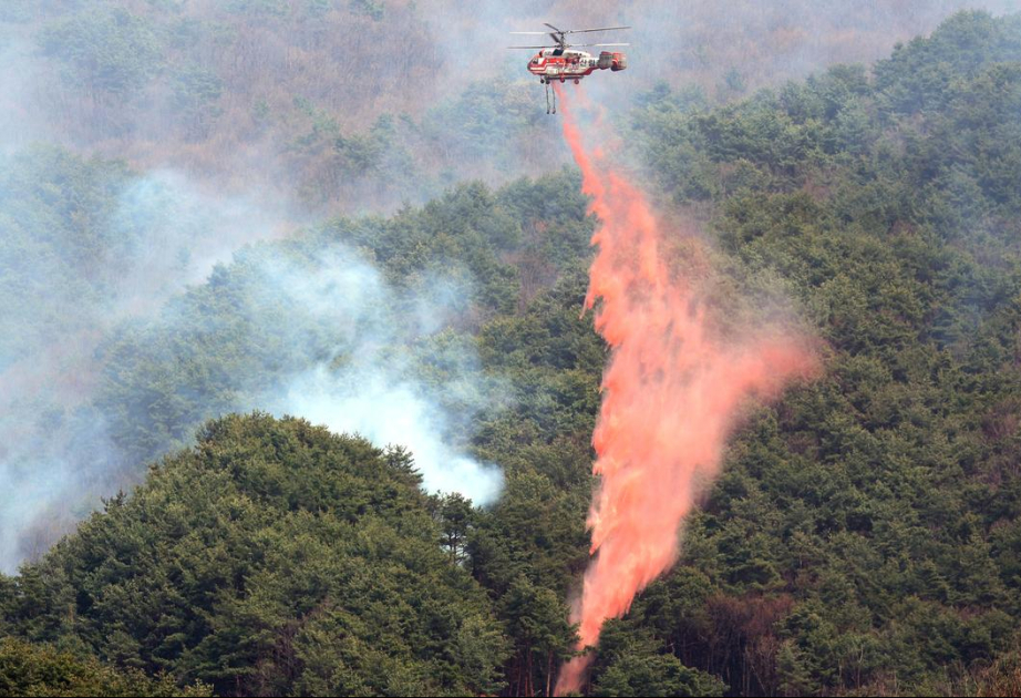 Südkorea: Waldbrände breiten sich weiter aus