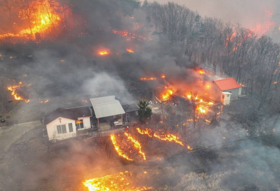 La Corée du Sud connaît les pires incendies forestiers de son histoire avec 26 morts