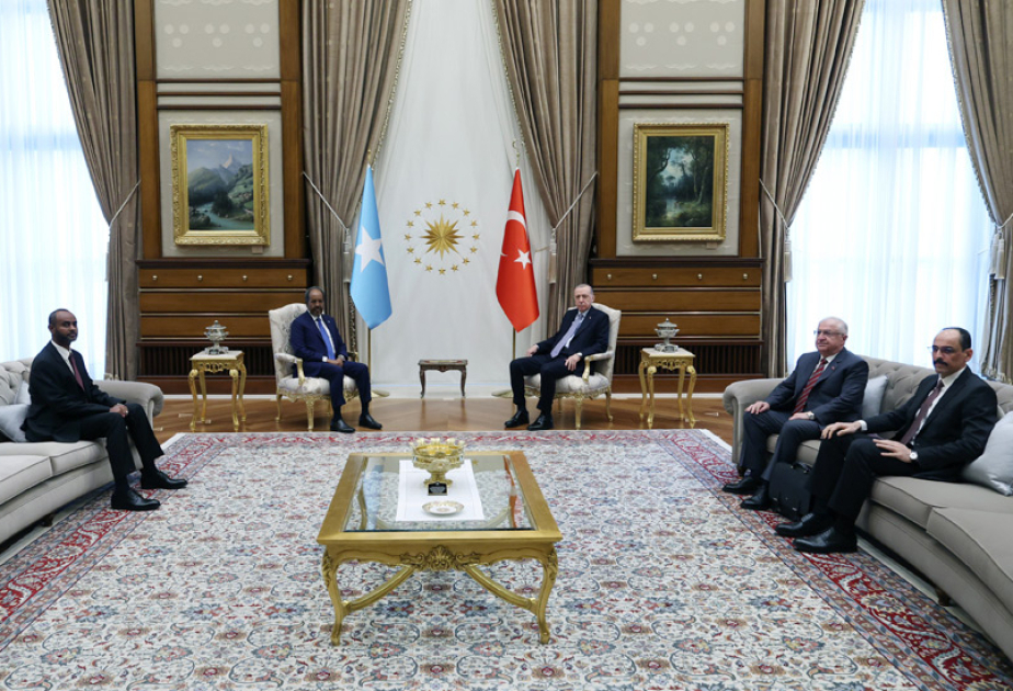 Turkish president, Somali counterpart discuss bilateral ties, regional issues