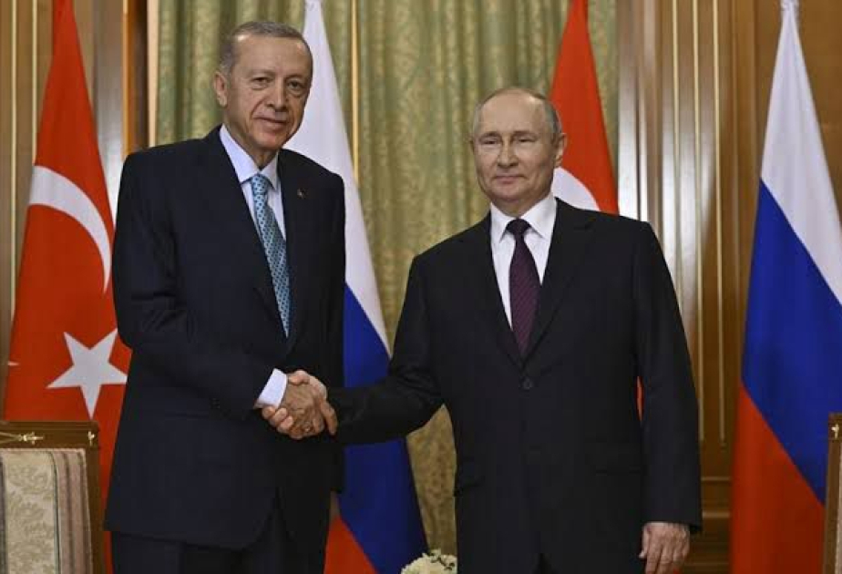 Türkiye-Russia cooperation is key to resolving regional issues: Turkish president