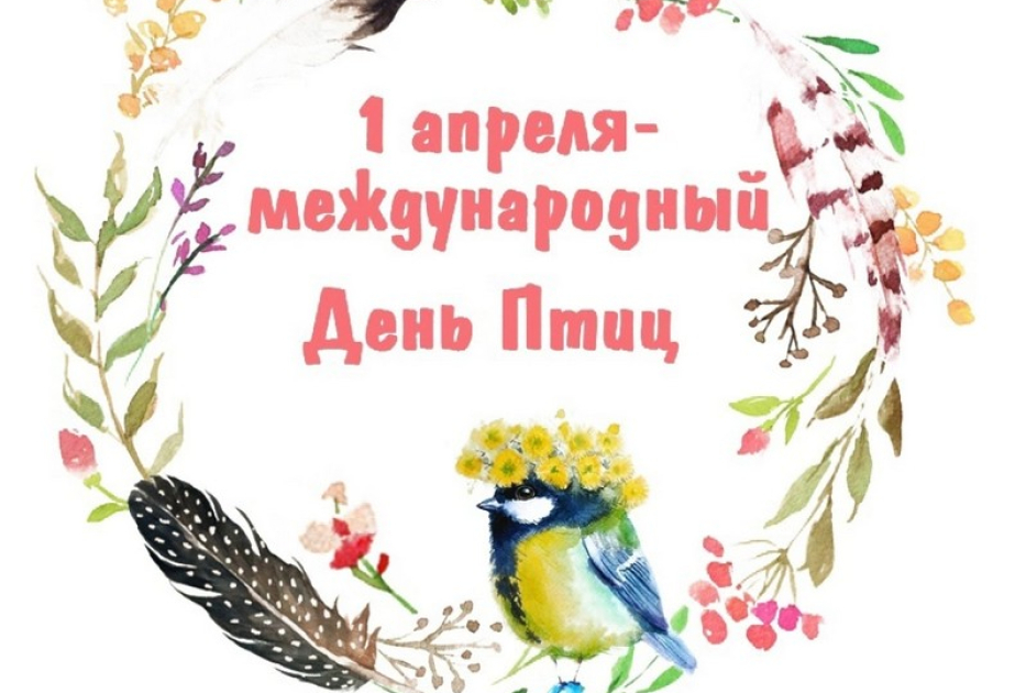 Международный день птиц