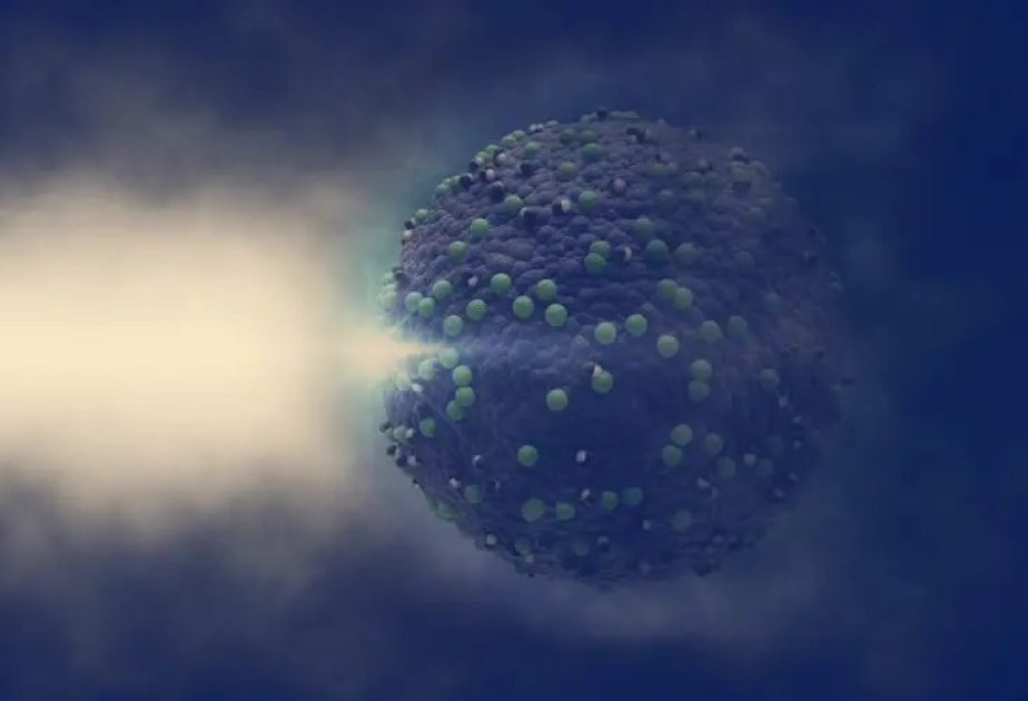 Microbes could help combat climate change