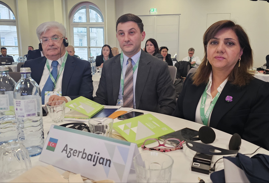 Auditorlar Palatasının nümayəndə heyəti beynəlxalq konfransda iştirak edib