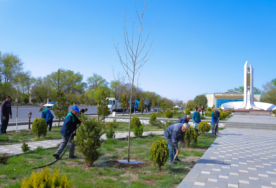 Naxçıvan şəhərində Xan çinarı və akasiya ağacları əkilir