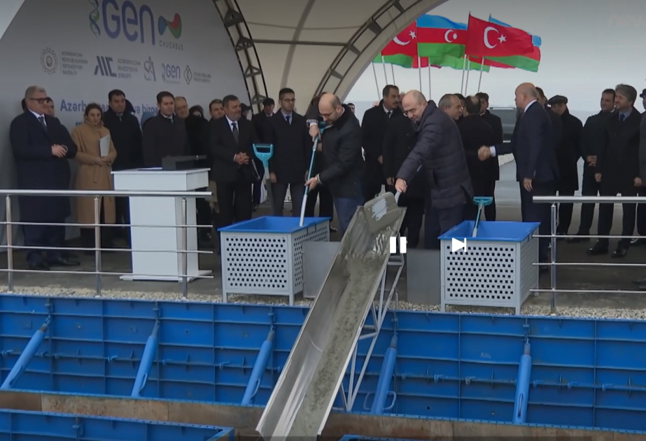 ® “Euronews” Azərbaycan iqtisadiyyatına töhfə verən təşəbbüslər barədə video yayımlayıb