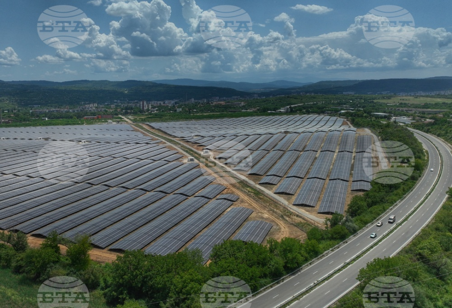 Bulgaria, Azerbaijan, Georgia and Turkiye to cooperate in green electricity