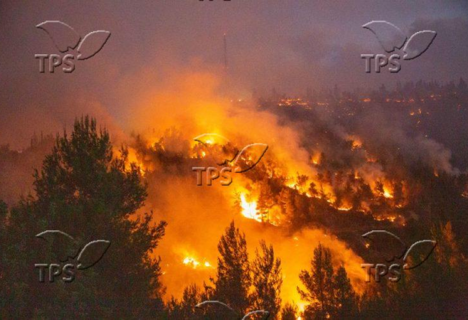 Lightning and wildfires: How Israeli AI research is changing disaster prediction