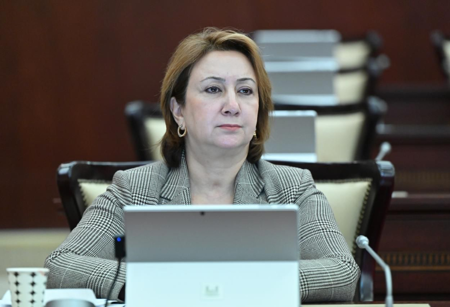 Ştaynmayerin səfəri Azərbaycan-Almaniya əlaqələrində yeni səhifə açacaq ŞƏRH
