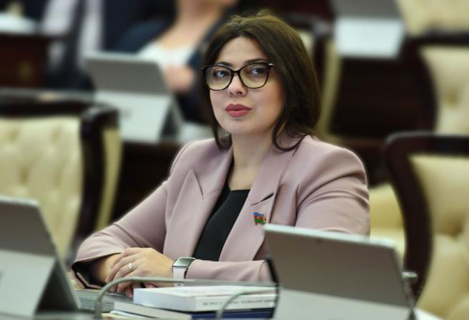 Almaniya Azərbaycanı Cənubi Qafqazda vacib tərəfdaş kimi qəbul edir - RƏY