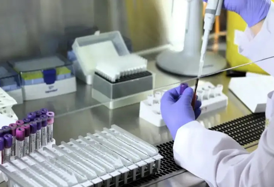 84 swine flu, 4 Hong Kong flu cases reported in N Kazakhstan