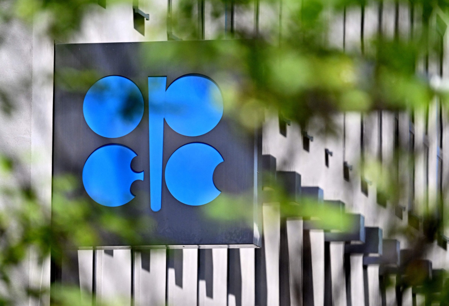 Страны ОПЕК+ увеличат с мая добычу нефти в три раза больше плана